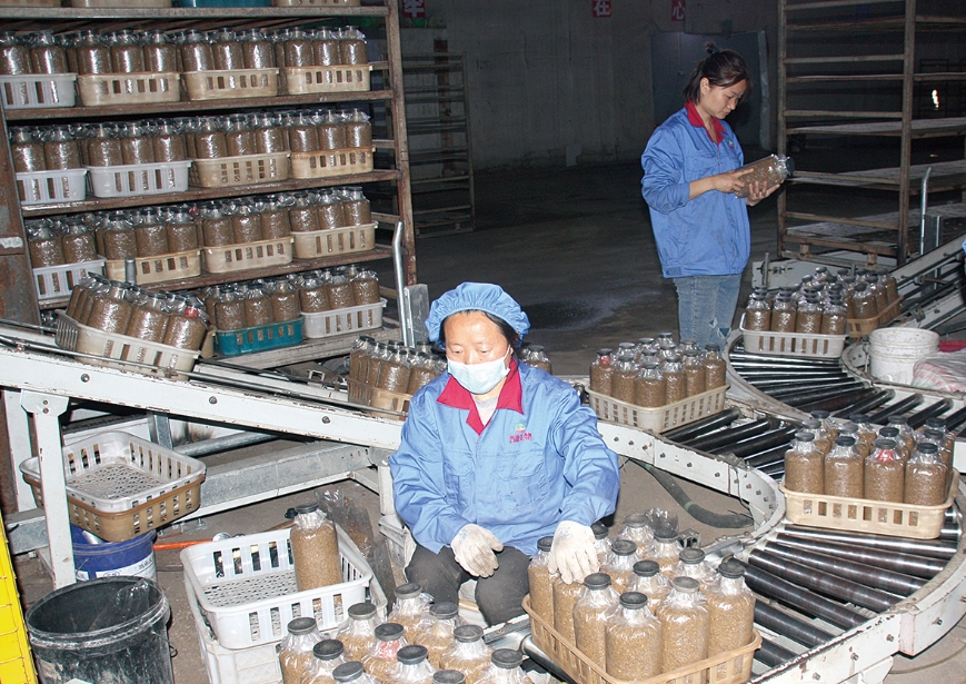 为菌菇飘香夯实“地基”