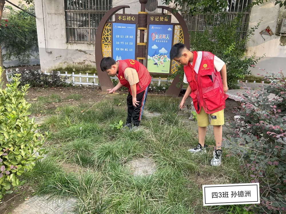 师专二附小劳动实践活动展示