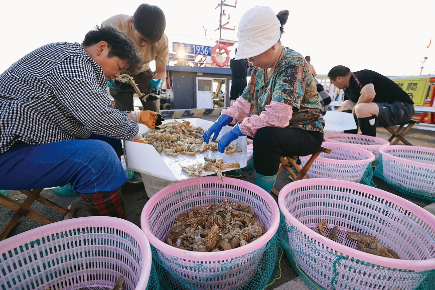 渔船满载归港 海鲜集中上岸