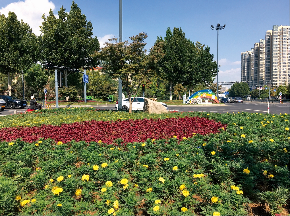 时令鲜花扮靓节日港城