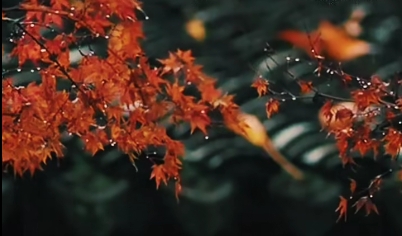 吕秀彬：等一场雨