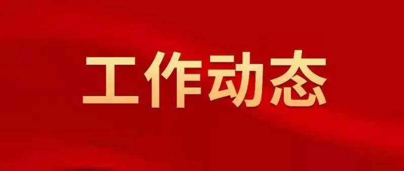 維護安全穩(wěn)定  打擊違法犯罪  護航經濟社會發(fā)展 港城公安交出“2024平安答卷”