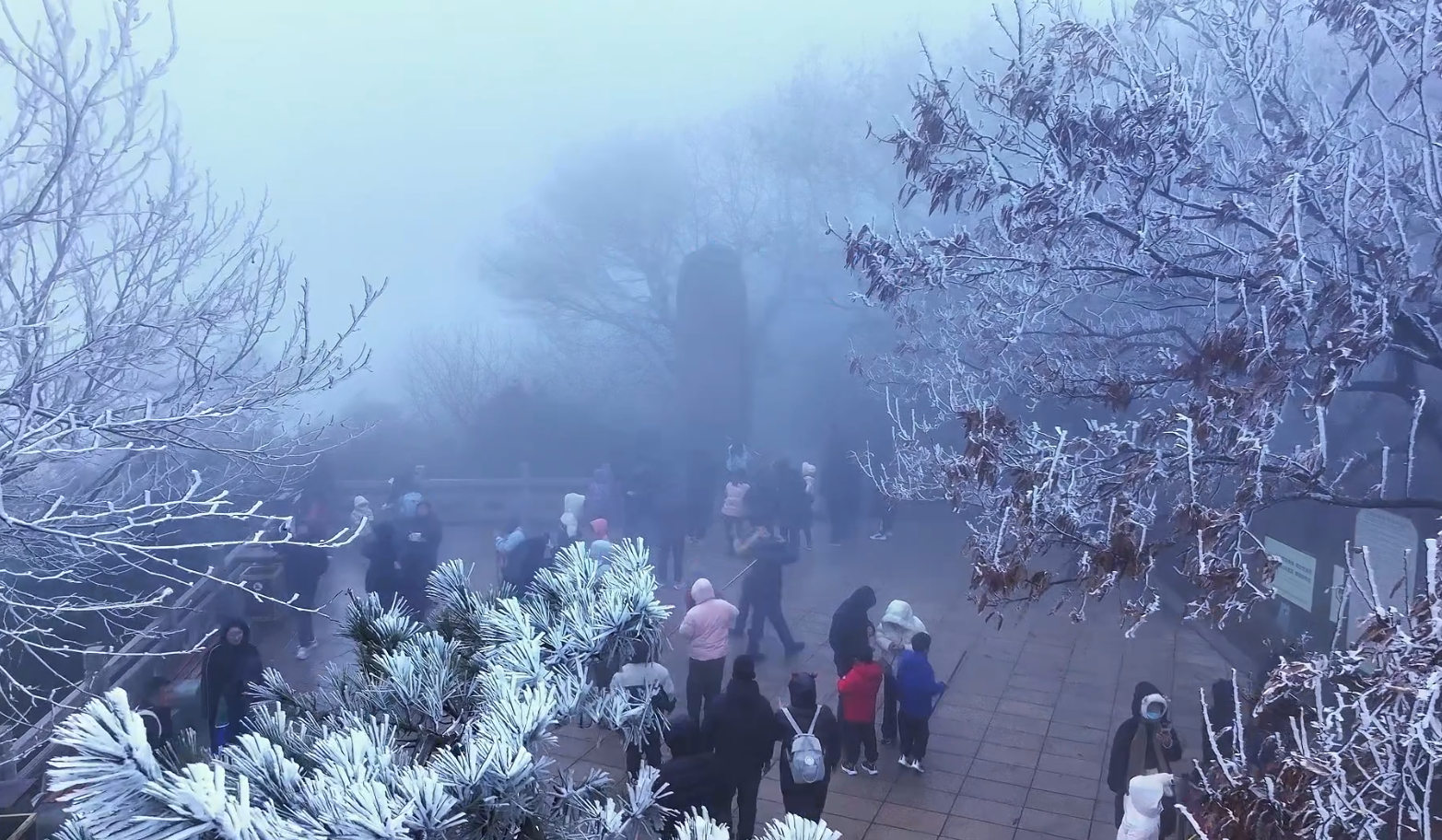 大年初四花果山现雾凇奇观