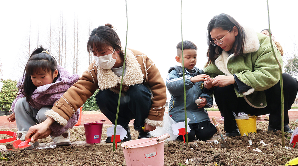 海州區幼兒教育中心 | 開展植樹節親子活動共筑綠色家園