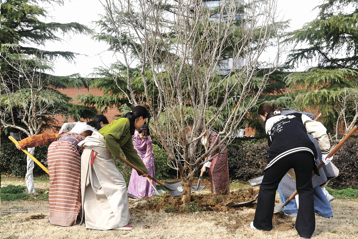 共植同心樹  蘇藏學子滋養民族團結“石榴果”