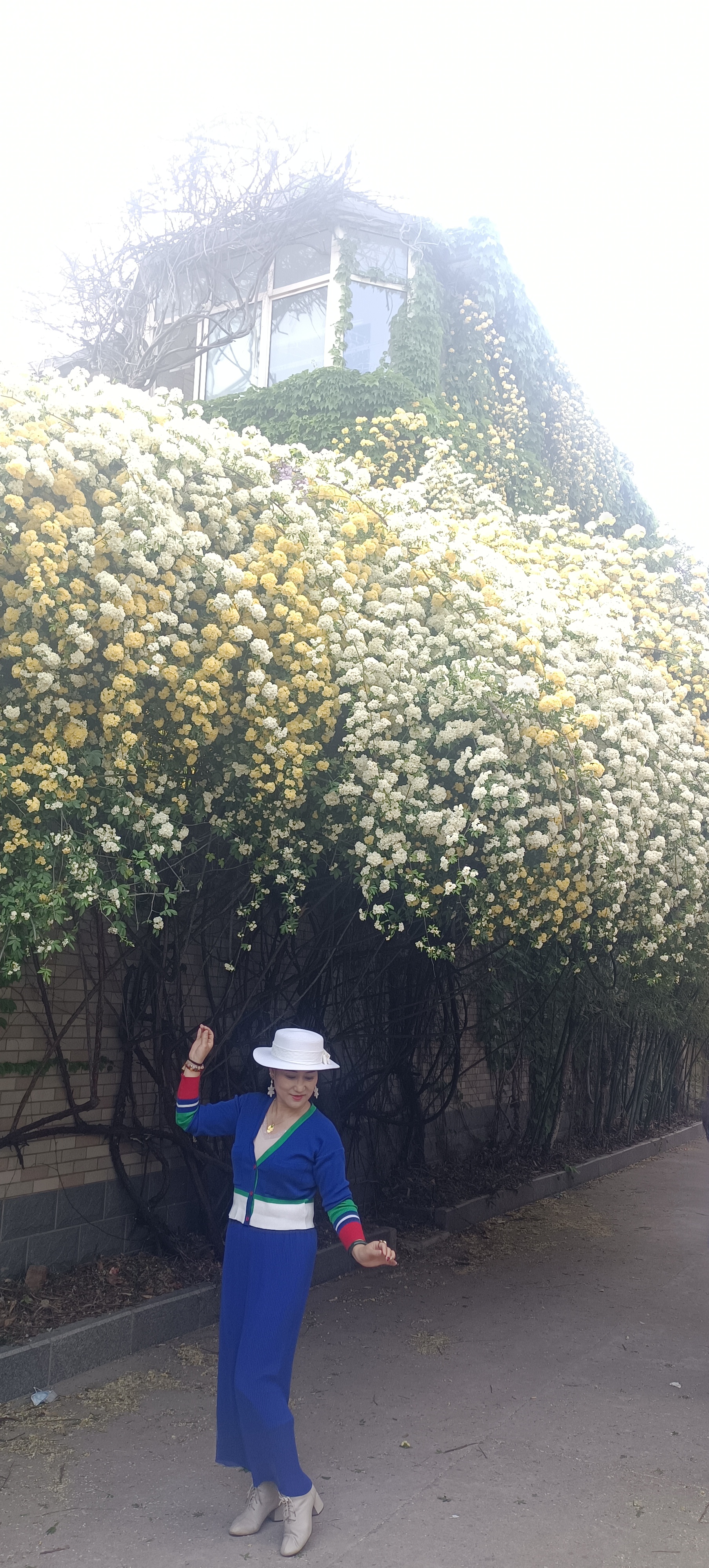 ?港城四月  春花爛漫