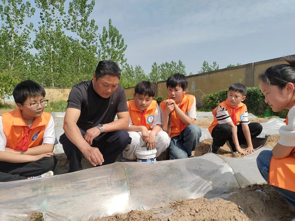 山左口白石頭小學 | “花”樣童年 趣味橫“生”