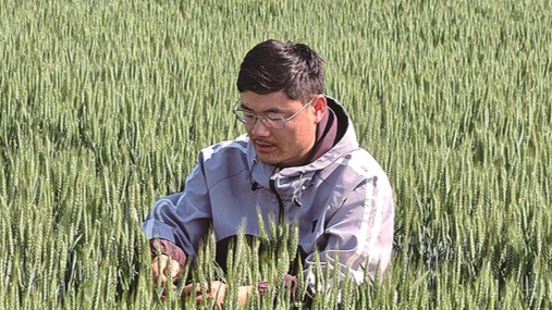 新农人王飞：在“端牢饭碗”中收获价值