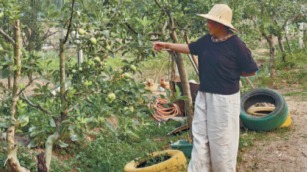 將中醫和農業“跨界融合”，讓餐桌溢滿“童年的味道”———時小波和她的“孝天莊園”