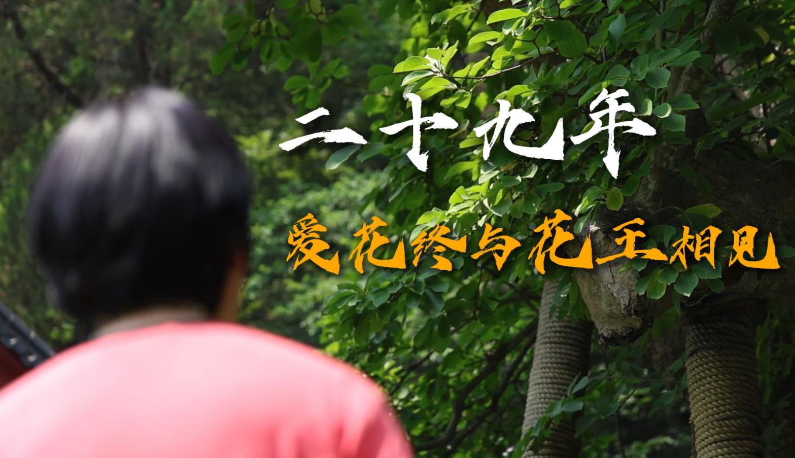 一場遲到29年的“相見”