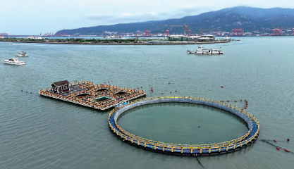 優化調整漁業產業結構  復合養殖模式在連島海域取得初步成功