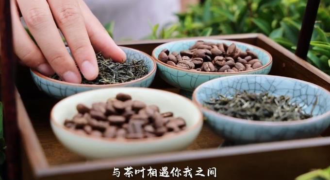 “七夕”赴连云 “啡” 常之约！