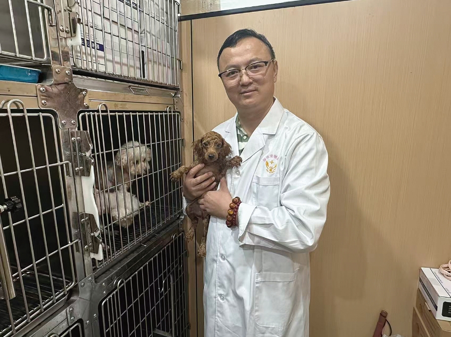 港城这位宠物院长不一般 救助流浪猫狗超千只，帮30多名学子圆大学梦，还带动一群人做公益