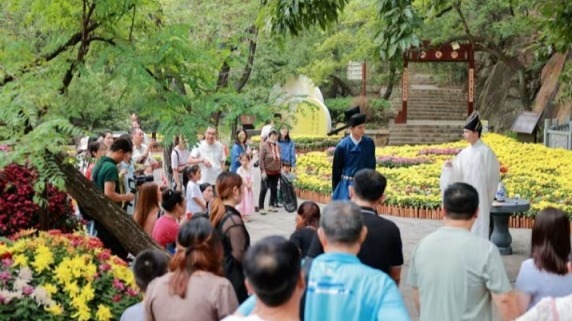 连云港孔望山菊花展启幕 沉浸式游园打造秋日盛宴