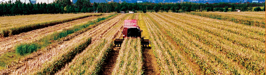   连云港海州秋粮抢收全面推进  秋种筹备同步发力