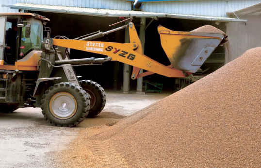 連陰雨里保“三秋”  大豆玉米搶收進度已超六成