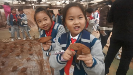 小记者走进江苏农垦云台兴垦农业科技有限公司