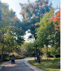 秋叶进入观赏季 山海间铺开多彩画卷