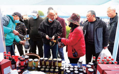 创业创新  “创响港城”——2025连云港市创业成果展览会侧记