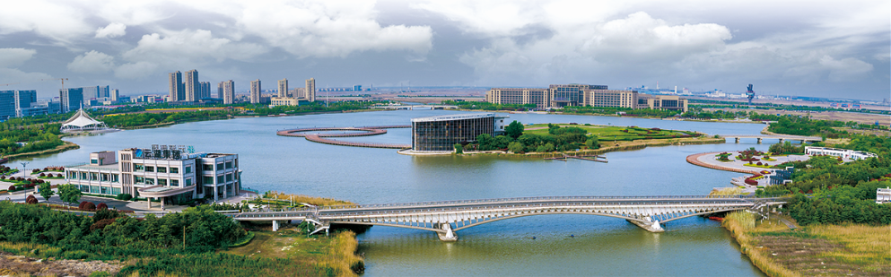 青山绿水绘画卷——“十四五”港城生态环境综述