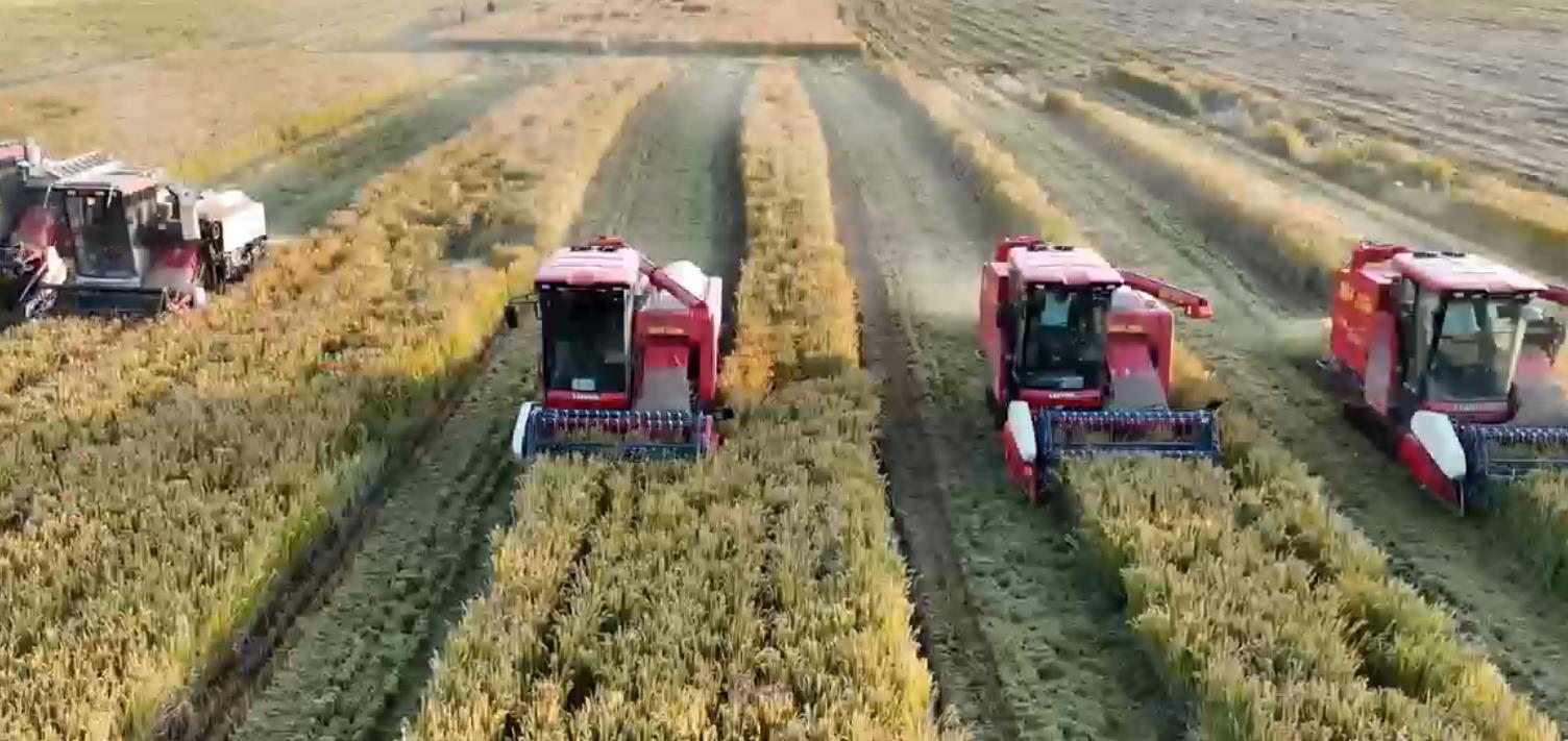 连云港水稻机收减损技能大比武举行