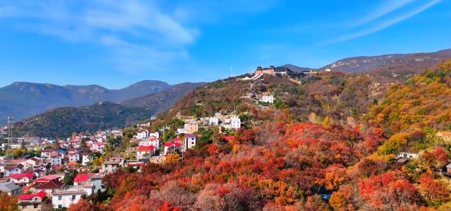 连云港初冬是什么颜色？