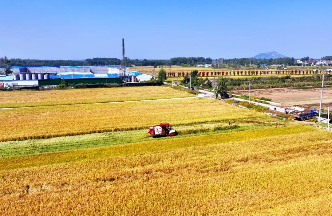 连云港市：精准监测“机收减损”  写好“颗粒归仓”答卷