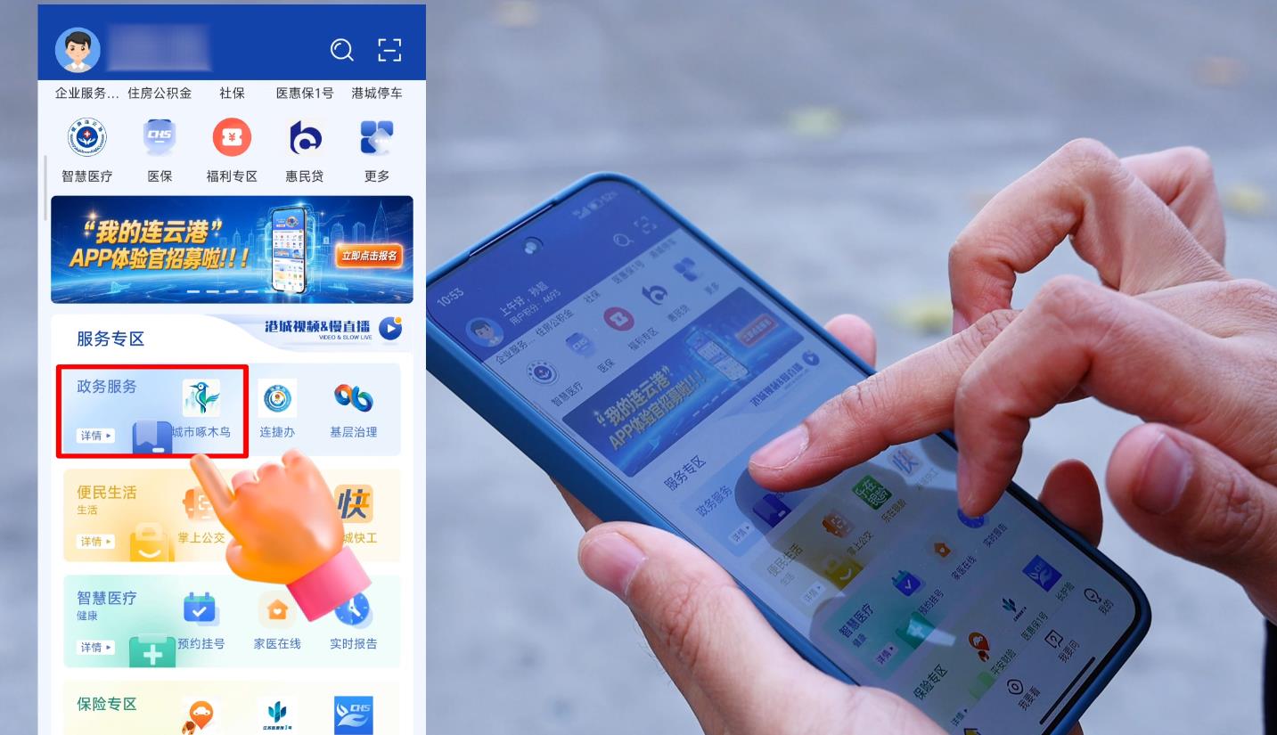 连云港城市啄木鸟”平台上线