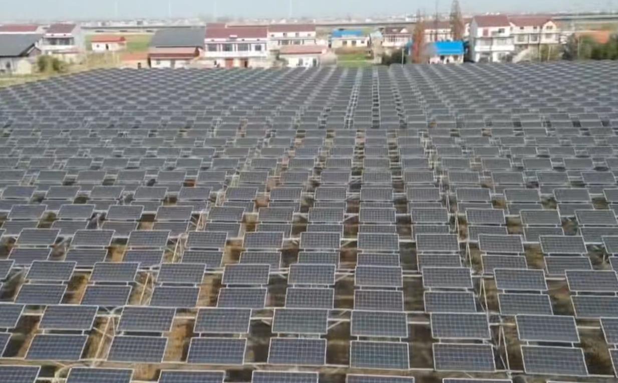 “农光互补”实现农业、电力双丰收