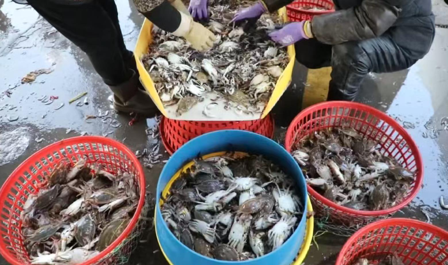 赣榆海鲜在重庆市场持续走俏