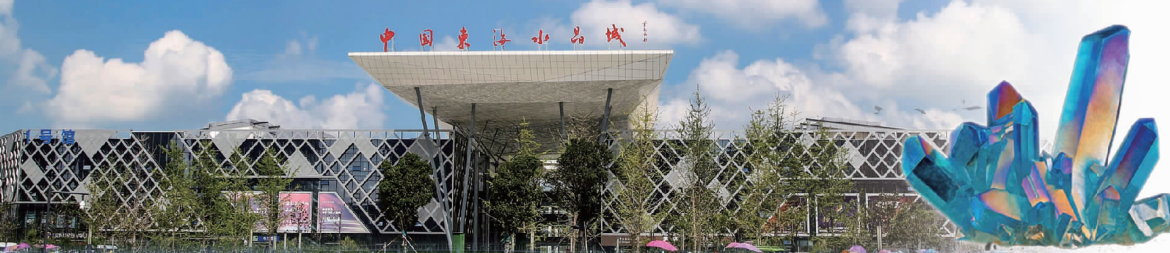 东海：聚四海之智 谋创新之势 筑科技之城