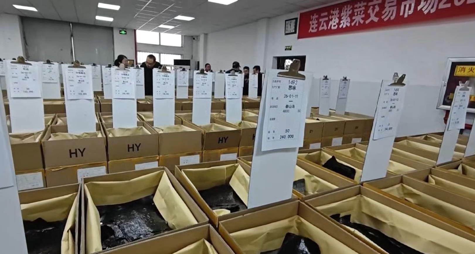 2026年度第三次紫菜交易会举办