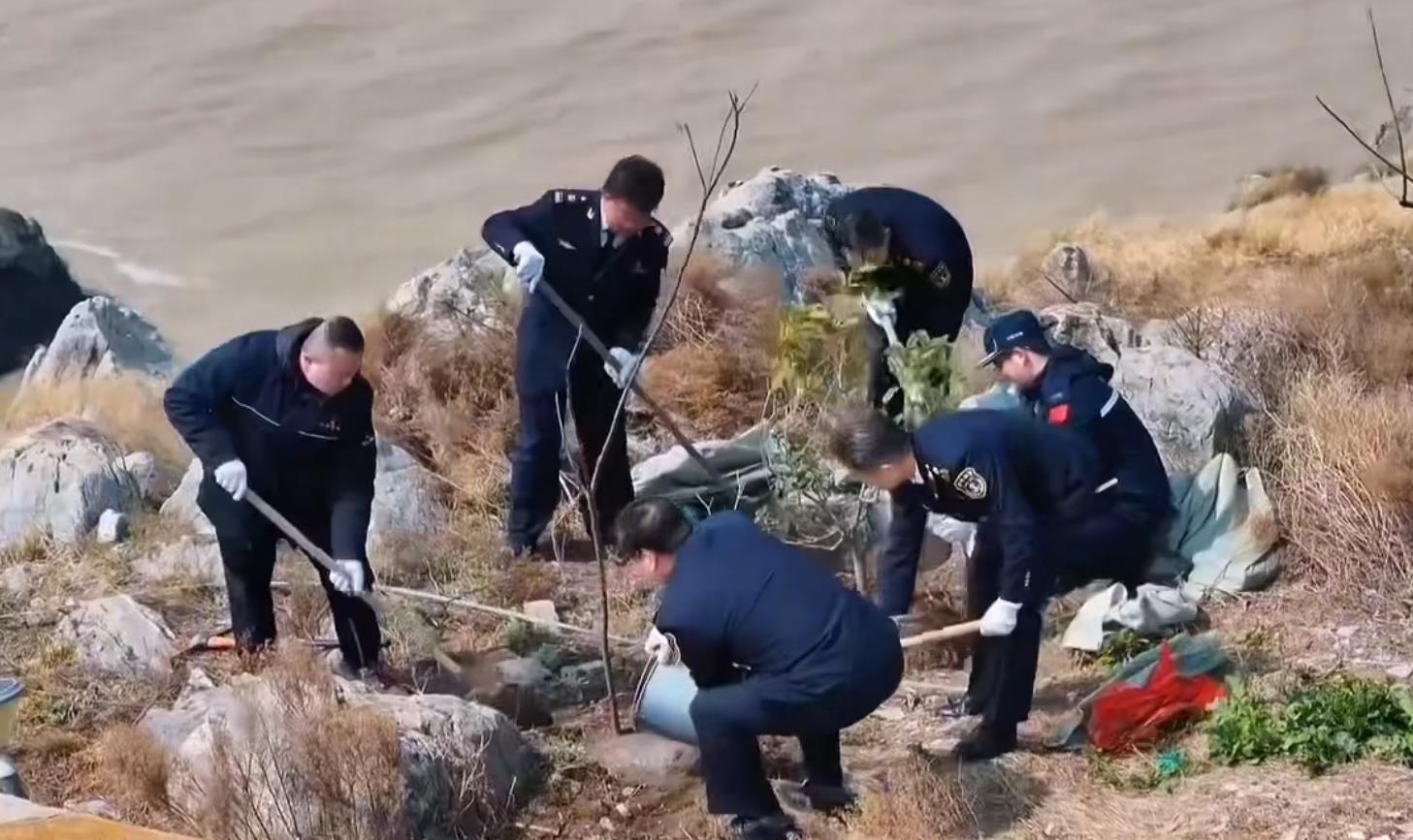 党员志愿者们到开山岛开展植树活动