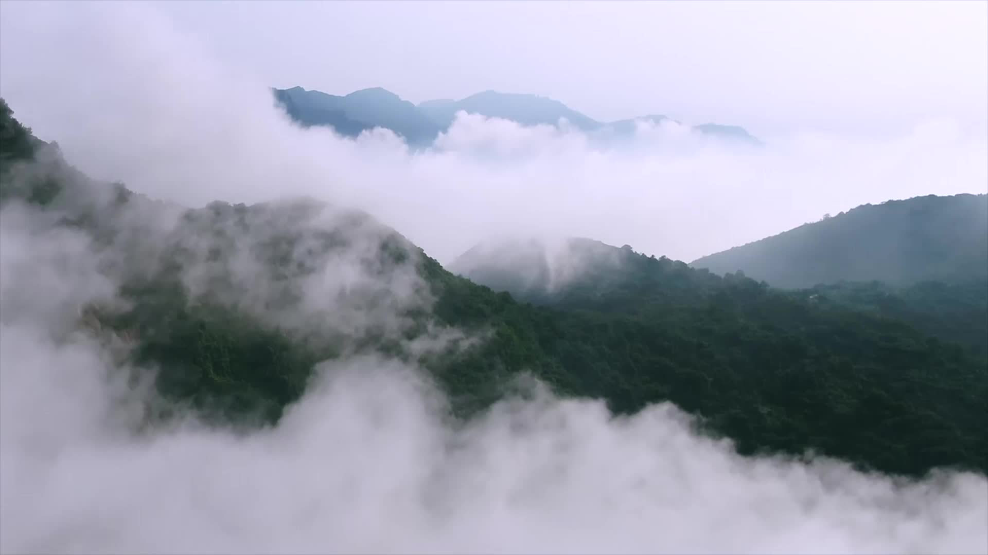 新质生产力与民营企业发展