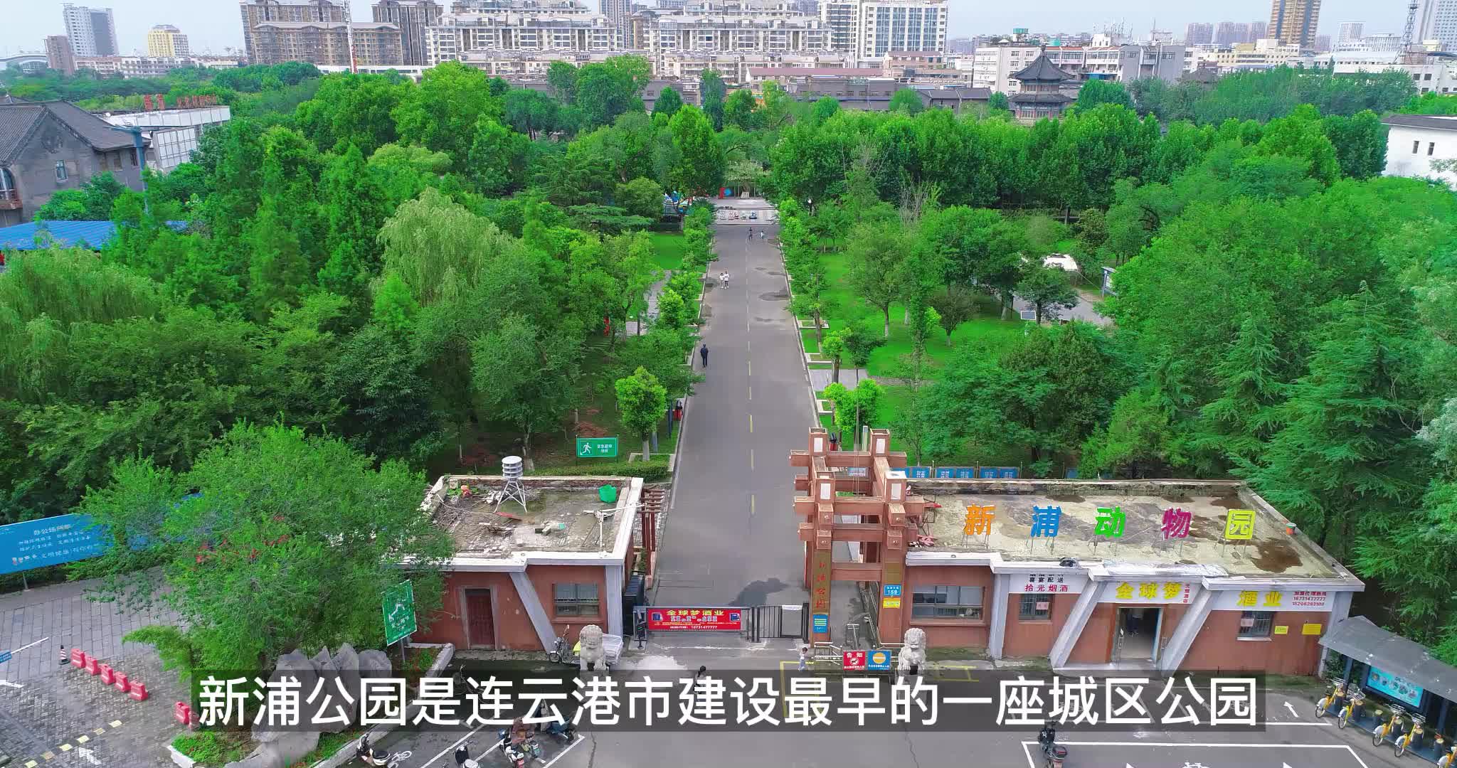 换个视角带你看看新浦公园