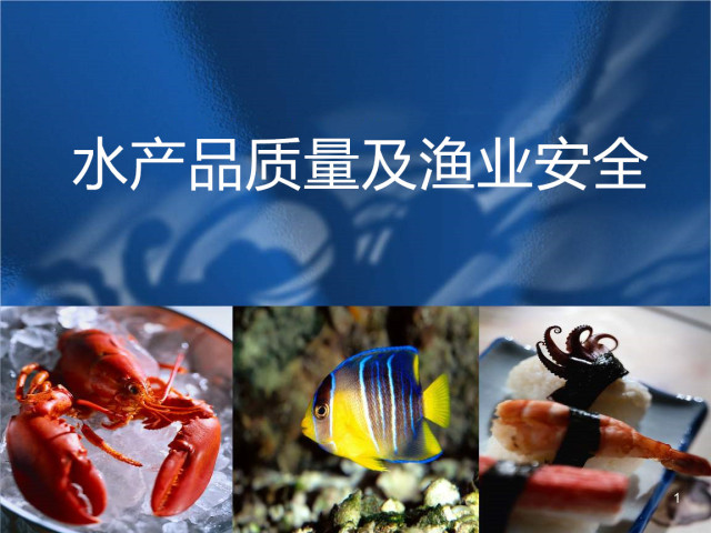 农业农村局强化水产品质量及渔业安全