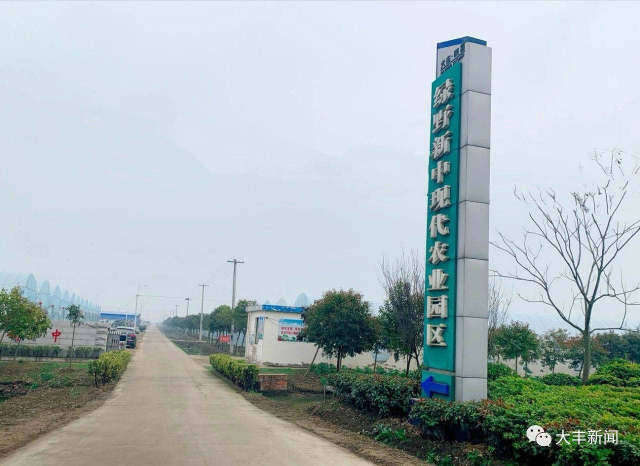 西团镇村企联建蹚出乡村振兴新路子-大丰新闻网