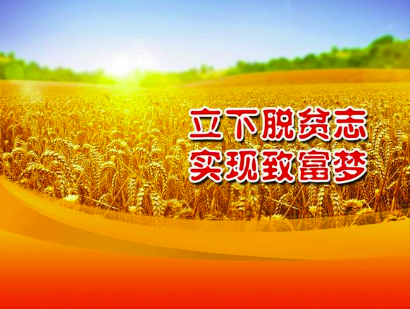 脱贫颂献给党的百年华诞