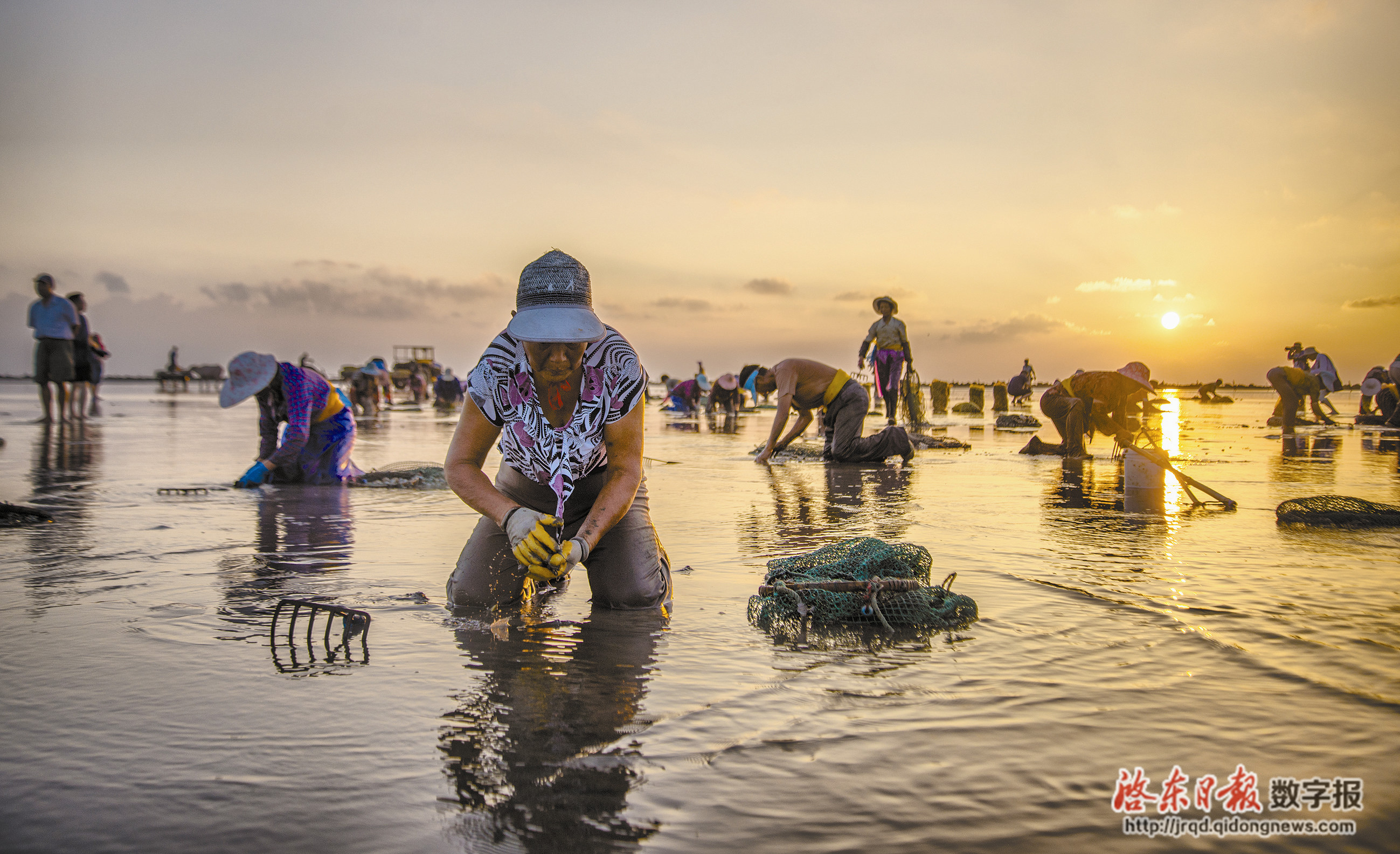 熹微里的赶海人