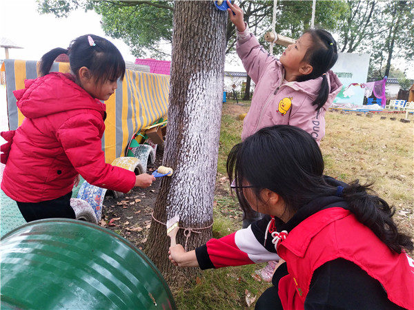 仇湖幼儿园我给树木穿冬衣