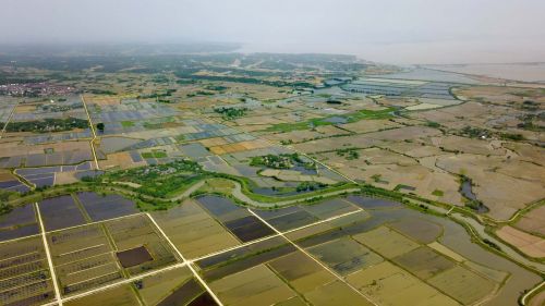 5月20日,安徽宣城市宣州区洪林镇的万亩虾稻现代农业产业园
