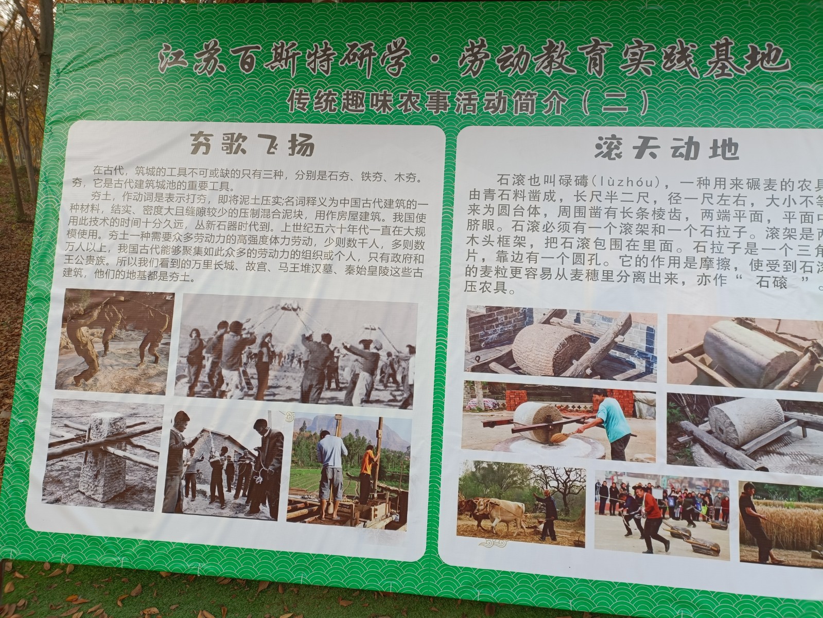 abd18ebd25fb911fe9bcedef6fc6802.jpg