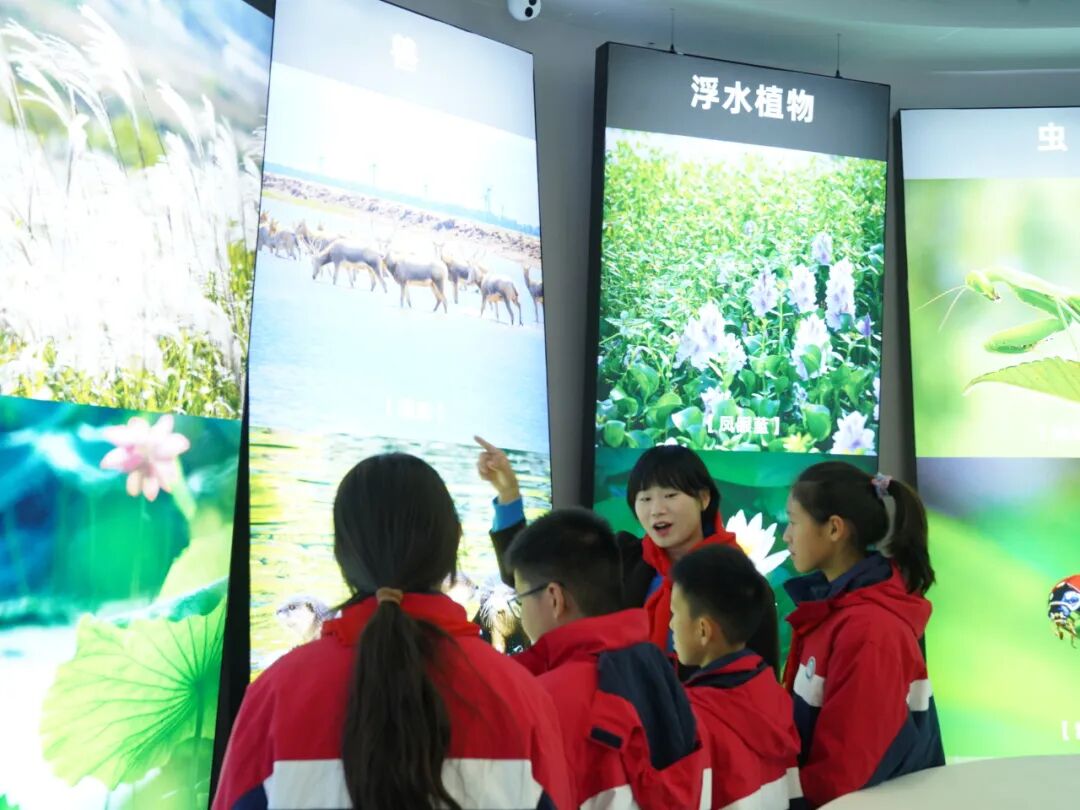 1766995388812877.jpg 图片14.jpg