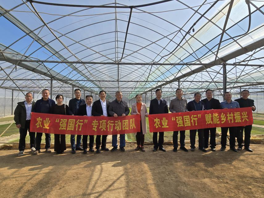 1774712623621765.png 图片4.png