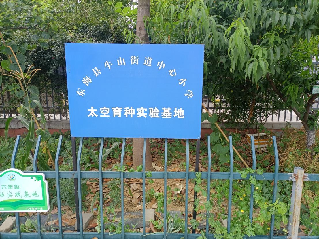 2建立基地（一）.jpg