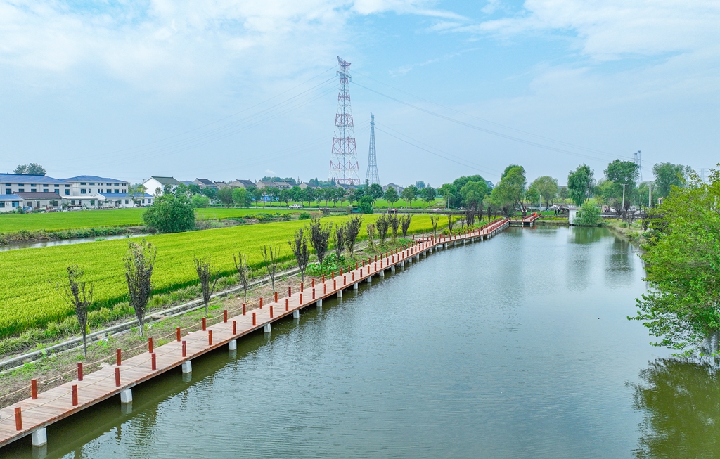 江苏靖江改善区域水环境质量计划改造近千户农村生活污水设施