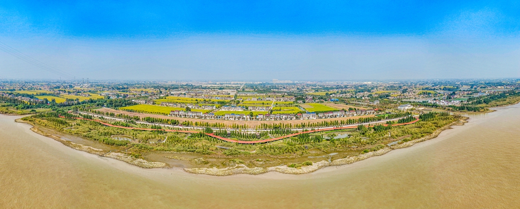 江苏靖江改善区域水环境质量计划改造近千户农村生活污水设施