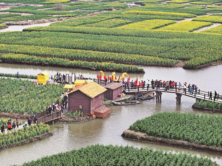 水润兴化如诗如画2024中国兴化千垛菜花旅游季盛大开幕