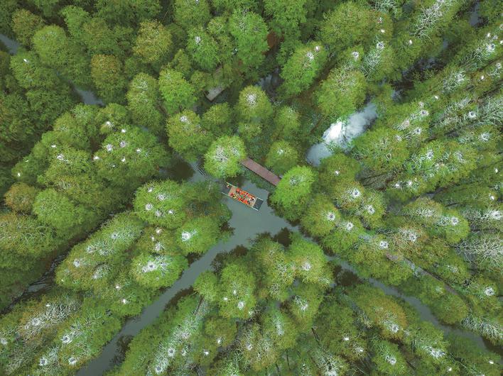 江苏兴化走出一条生态环保旅游兴旺共建共享百姓小康的全域旅游之路